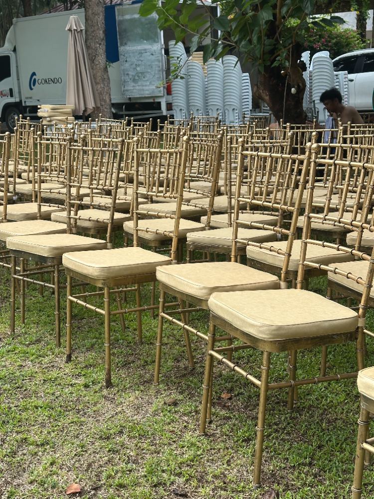 Gold Tiffany chairs with cream cushions ready for a wedding